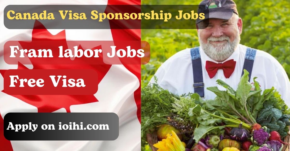 General Farm Labourer Jobs with Visa Sponsorship 2024